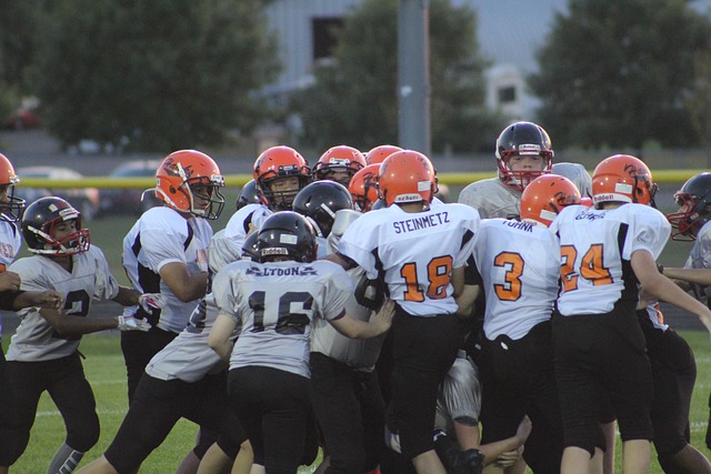 了其他球队 了其他球队