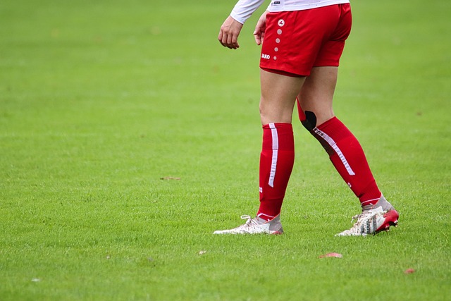 因为这种由 因为这种由