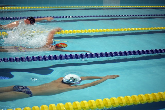 神的展现 神的展现